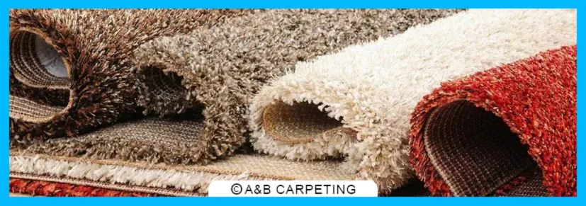 Professional Rug Cleaning Process